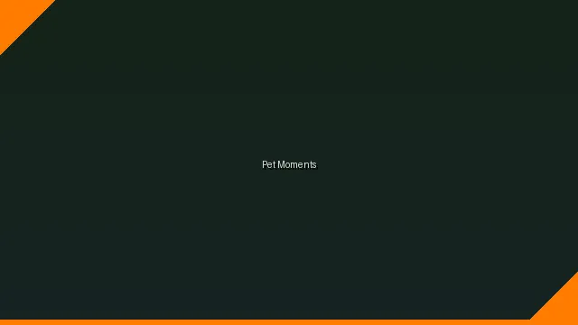 萌宠时刻主题赛 - 后入视频 UGC视频竞赛